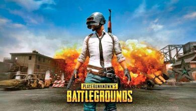 PUBG Game Review