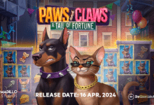 Embark on wild adventures with Armadillo Studios Paws and Claws A Tail of Fortune