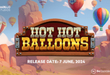 Hot Hot Balloons Armadillo