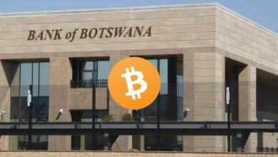 Bank of Botswana Cryptocurrency 2