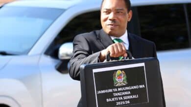 Tanzania 29.89 Billion Gaming 2025/2026