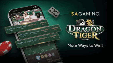 SA Gaming Dragon Tiger