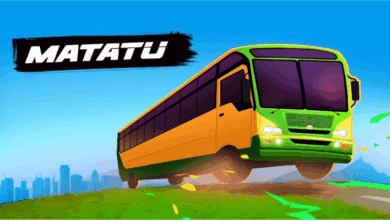 Shacks Evolution Studios Matatu