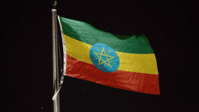 Ethiopia Br100 Billion Revenue