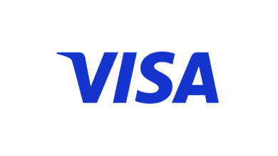 Visa Stablecoins Advisory Practice