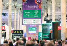 ICE global gaming hub