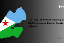 Djibouti Virtual Gaming