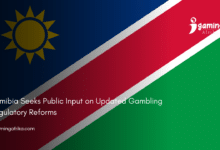 Namibia Public Input