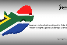 NRGP Take Risks Wisely