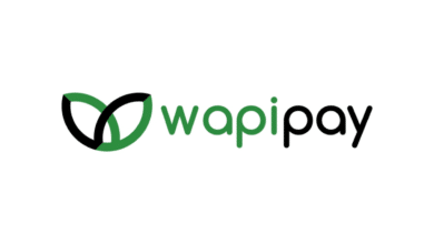 WapiPay Fintech