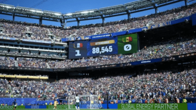 World Cup Attendance