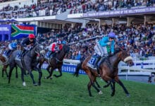 Amusnet Hollywoodbets Durban July