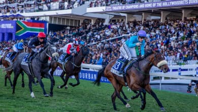 Amusnet Hollywoodbets Durban July