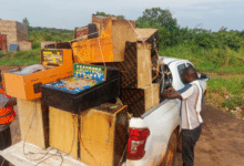NLGRB Illegal Gaming Machines