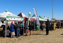 North West Gambling Board Matlwang