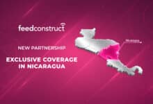 FeedConstruct Nicaragua's Basketball