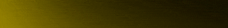 Banner 1