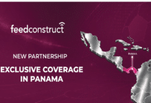 FeedConstruct Panama’s Domestic Football