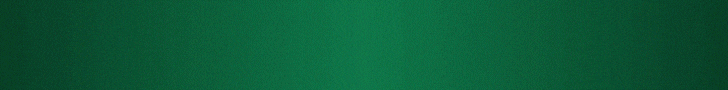 Banner 1