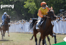 Mauritius Stable License